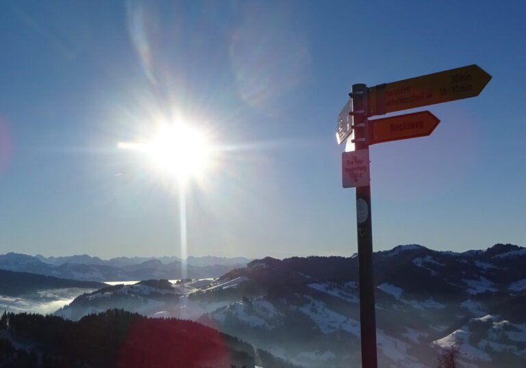 Mit Intuition zum Erfolg