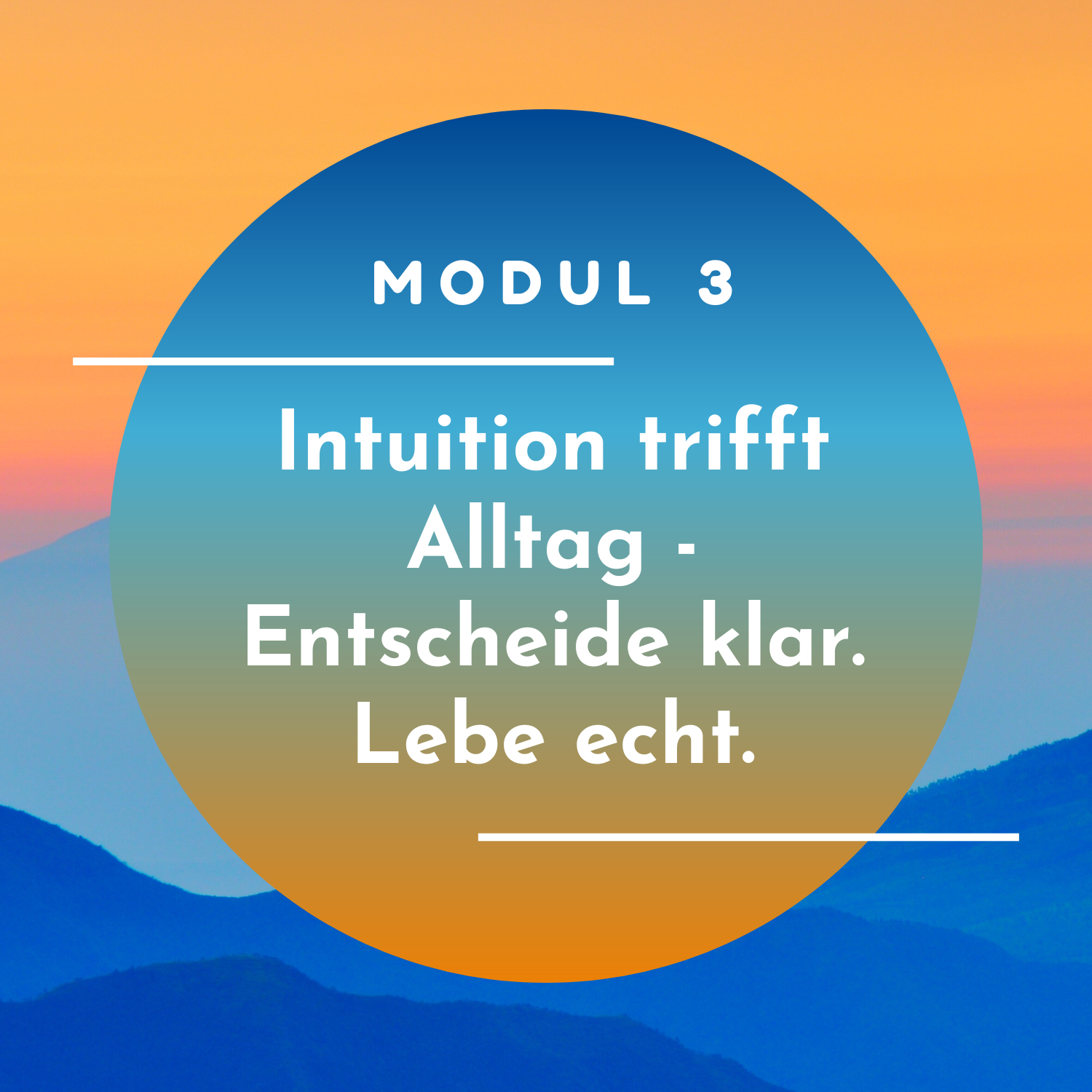 Modul 3 Intuition trifft Alltag