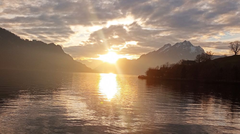 Neujahrs-Tarot 2026 Finde Klarheit