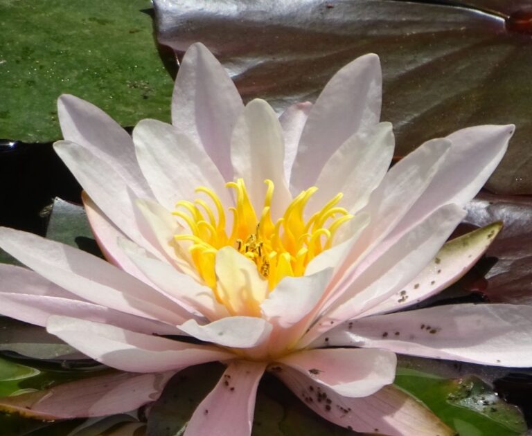 Systemische Aufstellung für Klarheit und Positionierung