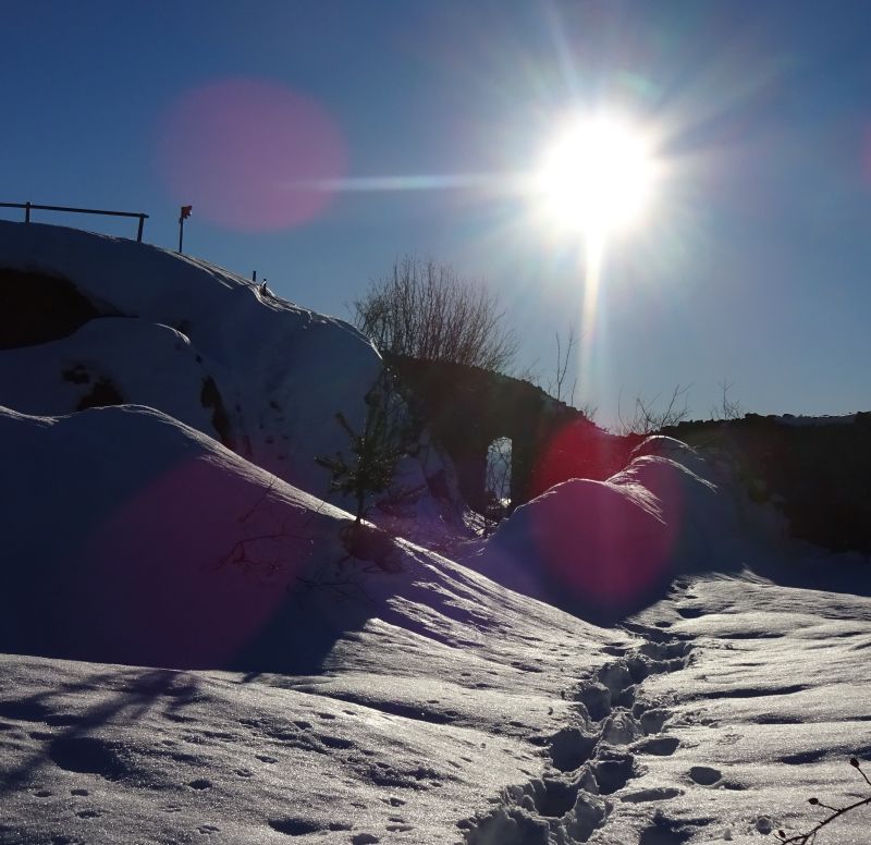 Business Winterphase + Intuition im Business + Tarot für Selbstständige