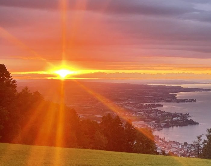 mit Intuition zum Erfolg - Sonnenuntergang