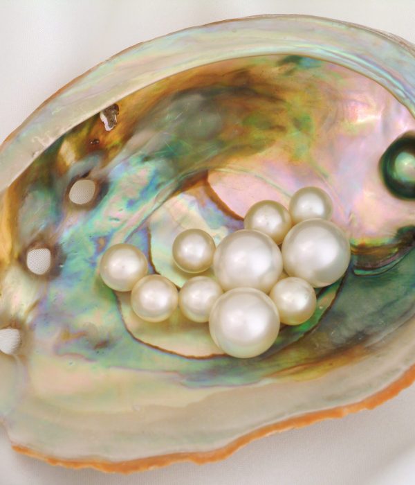 Muschel mit Perlen - Selbstwert