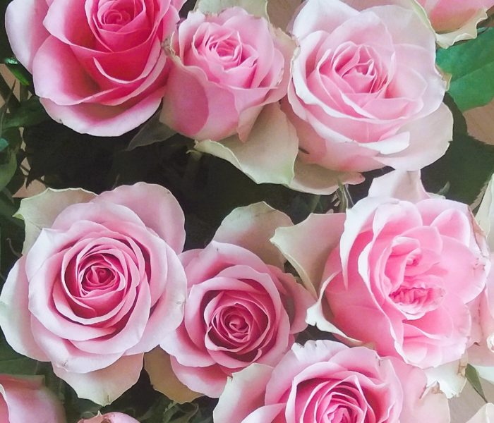 Webinar Geschenk - Blumen